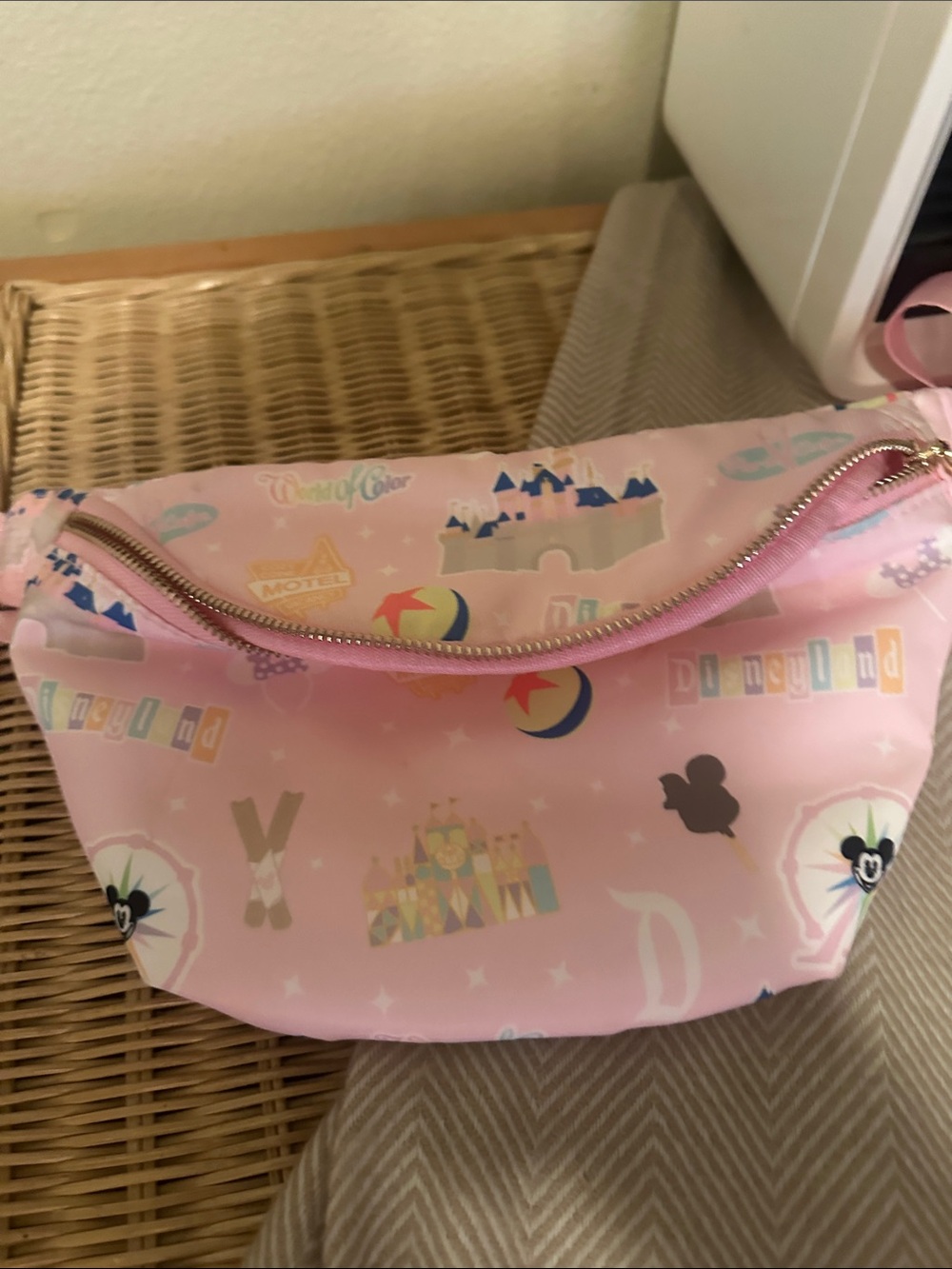 Pink Kids Fanny Pack - Cute Theme Print